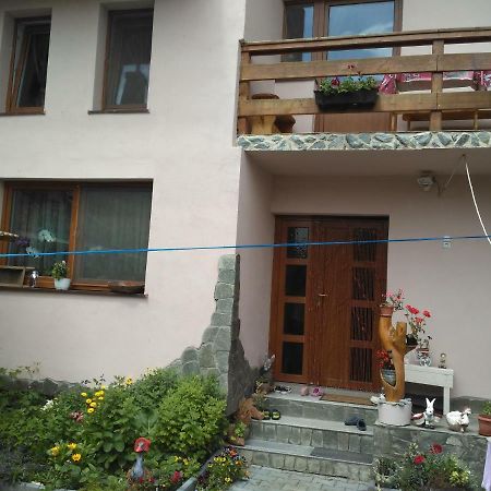 Casa Teo Hotel Ocna Sibiului Exterior foto