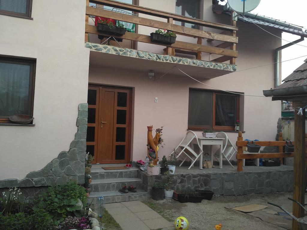 Casa Teo Hotel Ocna Sibiului Exterior foto