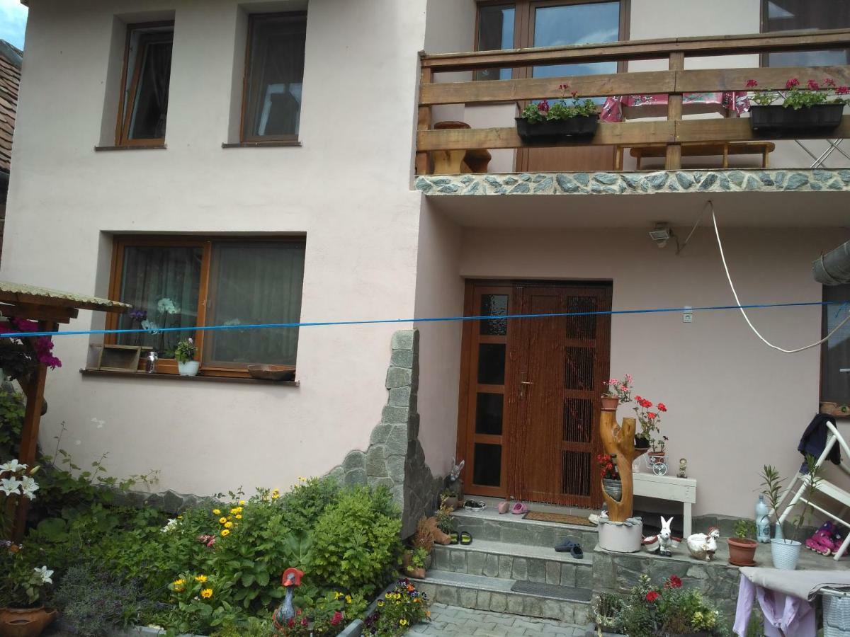 Casa Teo Hotel Ocna Sibiului Exterior foto